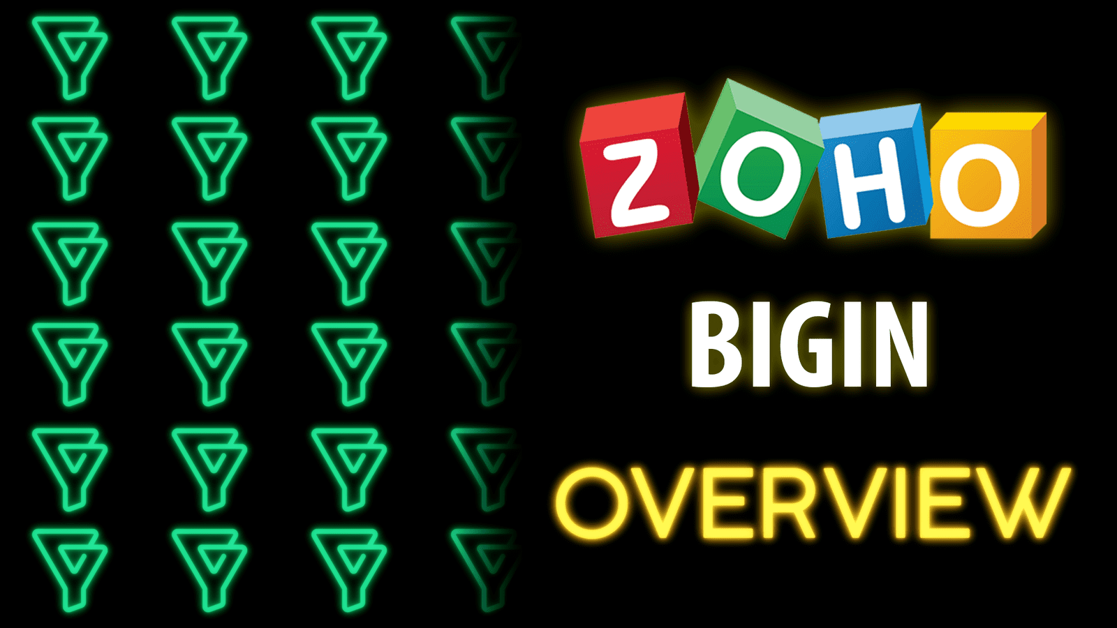 Zoho Bigin Overview